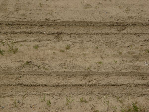 Road texture of loose, beige sand with tire marks and small tufts of green grass.